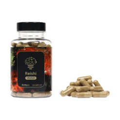 Reishi 
