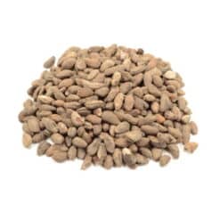Voacanga Africana seeds - 5 Grams