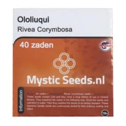 Ololiuqui - 40 Seeds